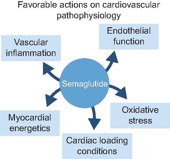 semaglutide cardiovascular National Consensus on Semaglutide in Cardiology: From Clinical Evidence to  Clinical Translation